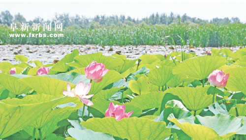 那木斯莱风景区.jpg